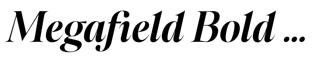 Megafield Bold Italic